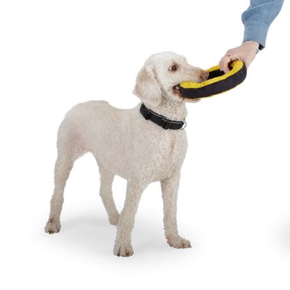 Redoggo Donut – Robustes Hundespielzeug aus Upcycling-Material