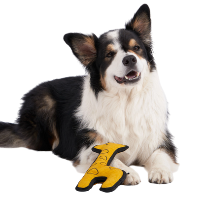 Redoggo Giraffe – Robustes Hundespielzeug aus Upcycling-Material