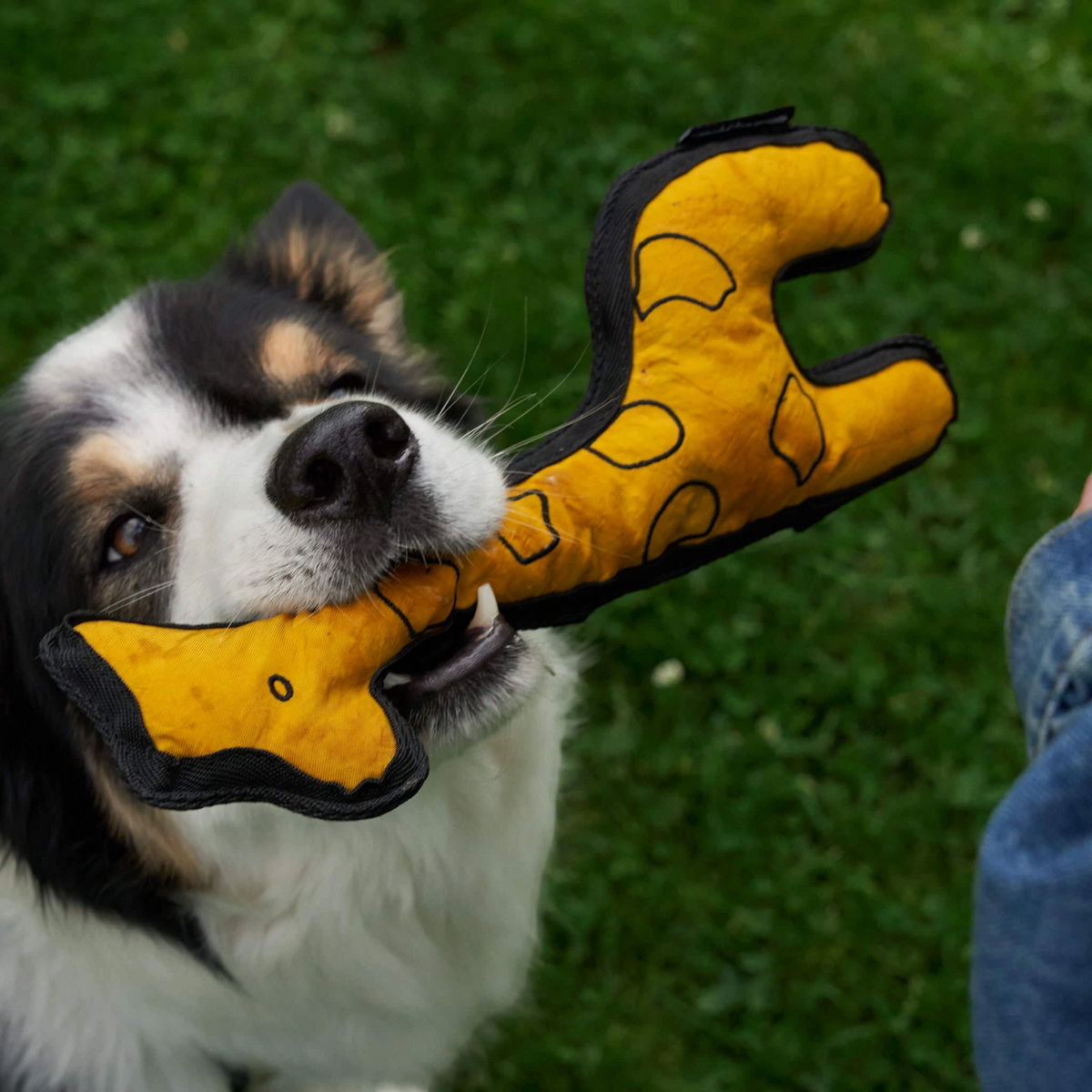 Redoggo Giraffe – Robustes Hundespielzeug aus Upcycling-Material