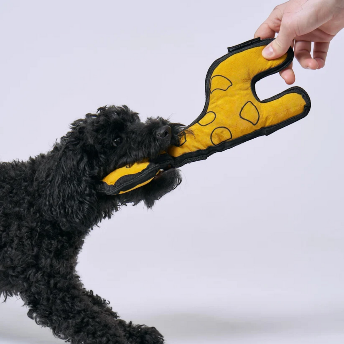Redoggo Giraffe – Robustes Hundespielzeug aus Upcycling-Material