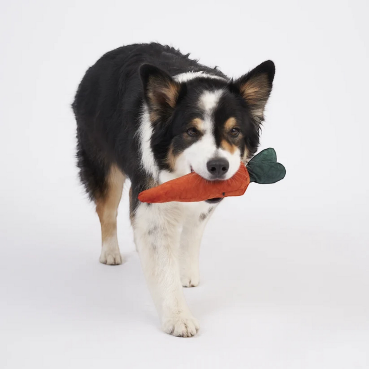 Redoggo Karotte – Interaktives Schnüffelspielzeug aus Upcycling-Material