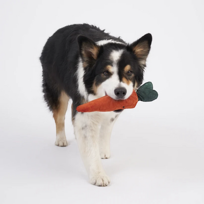 Redoggo Karotte – Interaktives Schnüffelspielzeug aus Upcycling-Material