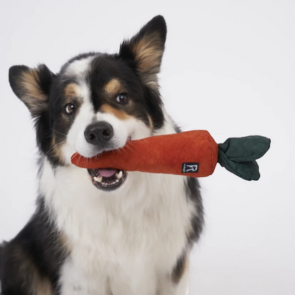 Redoggo Karotte – Interaktives Schnüffelspielzeug aus Upcycling-Material