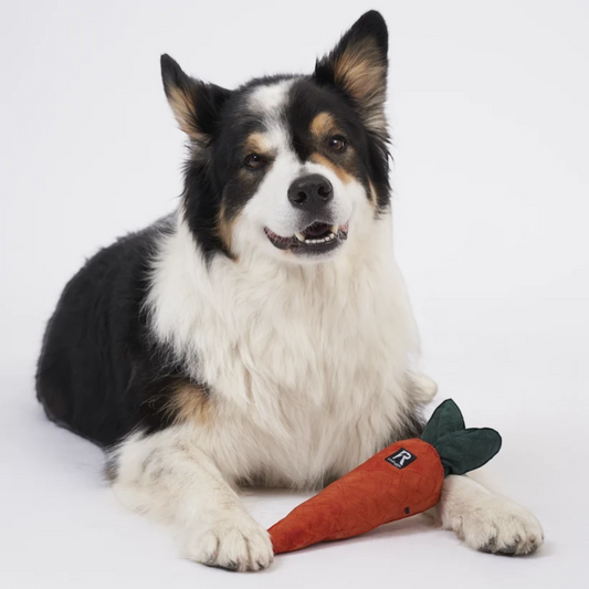 Redoggo Karotte – Interaktives Schnüffelspielzeug aus Upcycling-Material