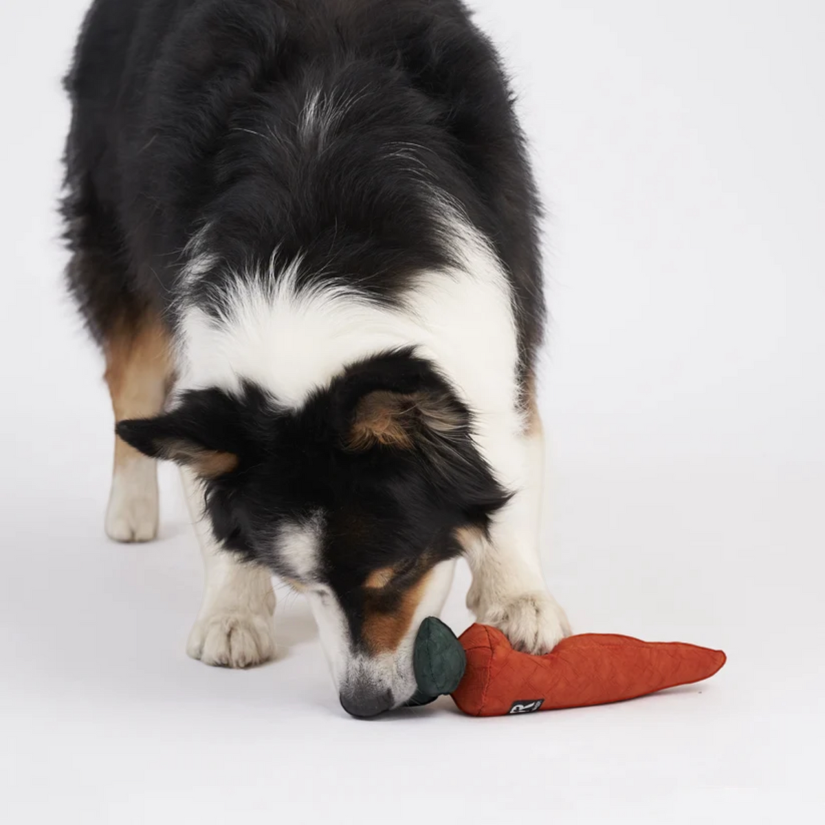 Redoggo Karotte – Interaktives Schnüffelspielzeug aus Upcycling-Material