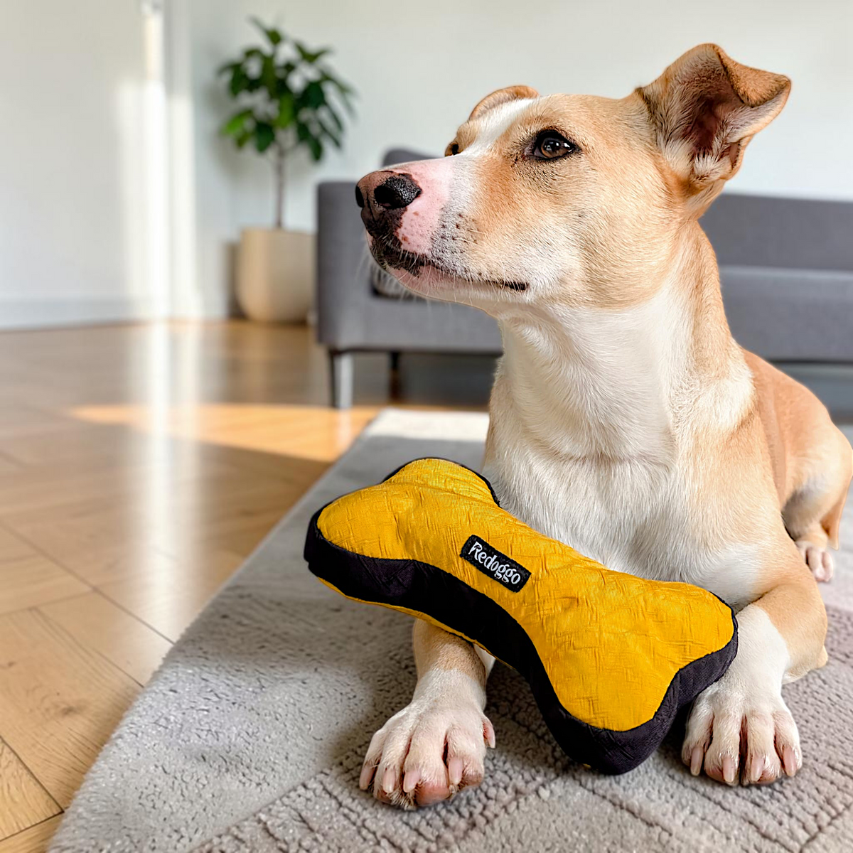 Redoggo Knochen – Robustes Hundespielzeug aus Upcycling-Material