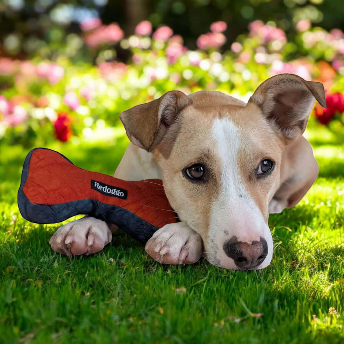 Redoggo Knochen – Robustes Hundespielzeug aus Upcycling-Material