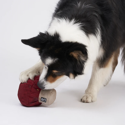 Redoggo Pilz – Interaktives Schnüffelspielzeug aus Upcycling-Material