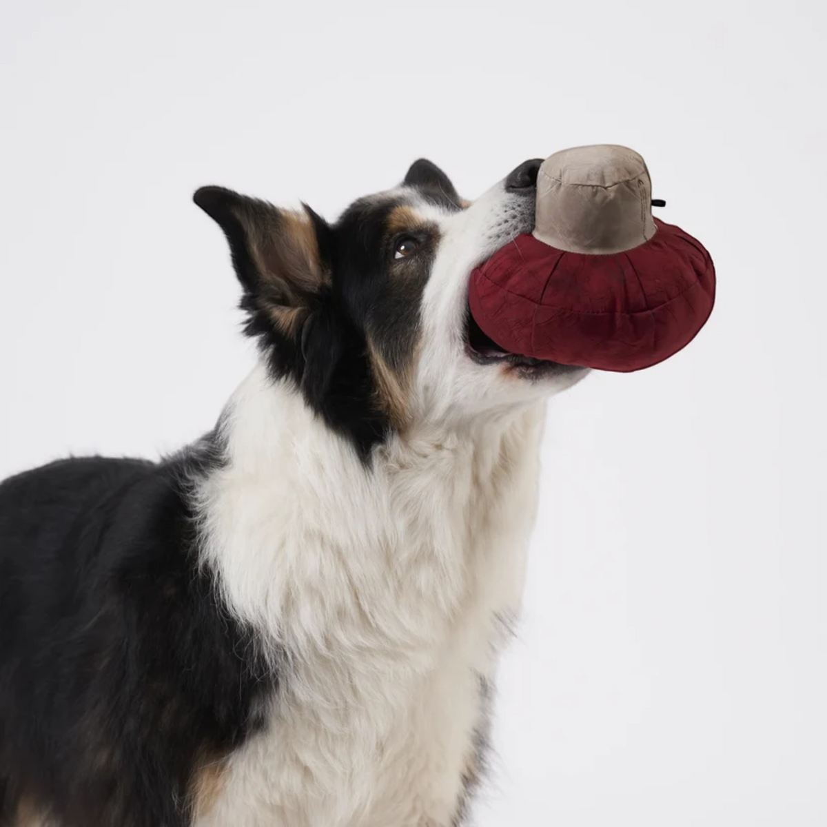 Redoggo Pilz – Interaktives Schnüffelspielzeug aus Upcycling-Material