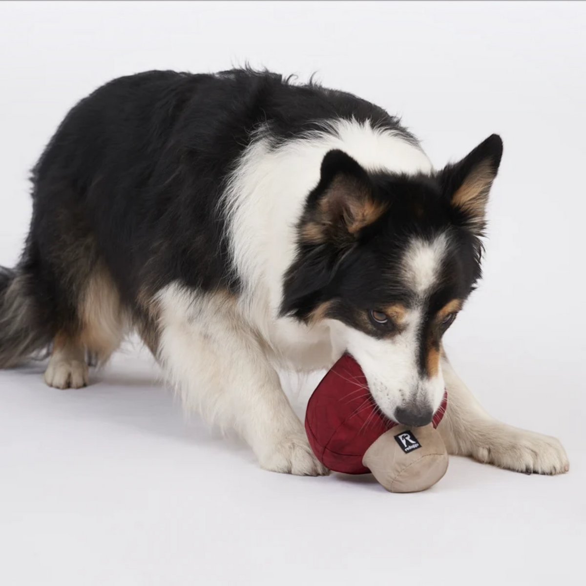 Redoggo Pilz – Interaktives Schnüffelspielzeug aus Upcycling-Material