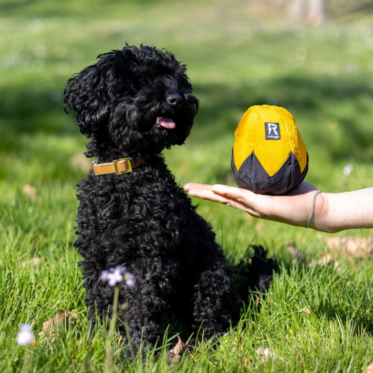 Redoggo Schnüffelei – Interaktives Schnüffelspielzeug aus Upcycling-Material