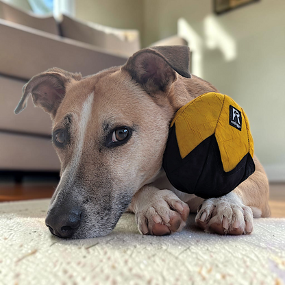 Redoggo Schnüffelei – Interaktives Schnüffelspielzeug aus Upcycling-Material