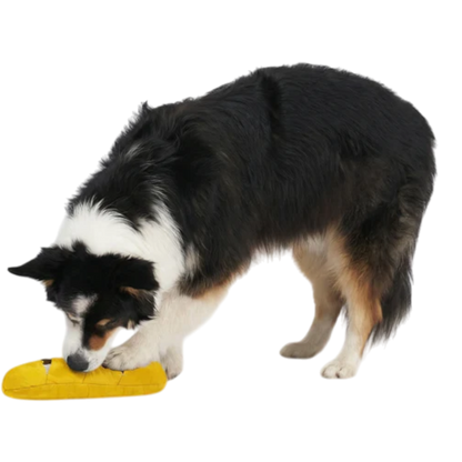 Redoggo Baguette