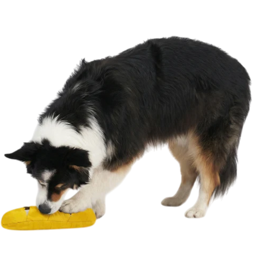 Redoggo Baguette