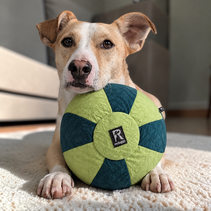 Redoggo Ball – Robustes Hundespielzeug aus Upcycling-Material