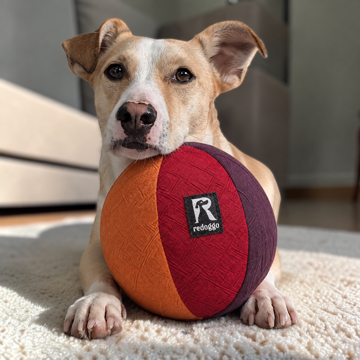 Redoggo Ball – Robustes Hundespielzeug aus Upcycling-Material