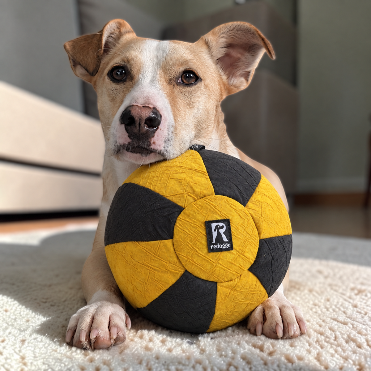 Redoggo Ball – Robustes Hundespielzeug aus Upcycling-Material