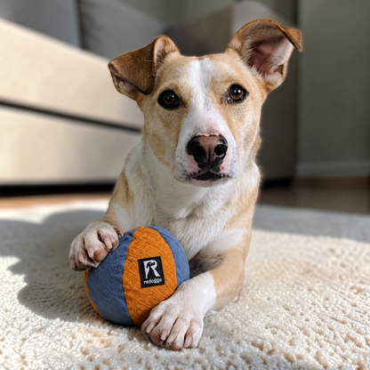 Redoggo Ball – Robustes Hundespielzeug aus Upcycling-Material