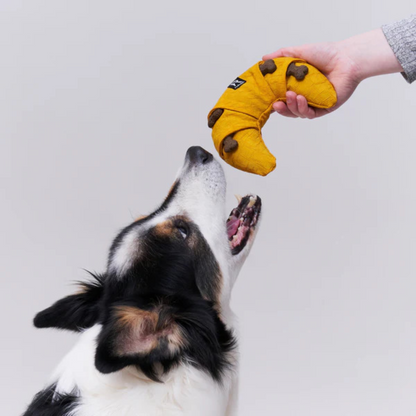 Redoggo Croissant – Nachhaltiger Spielspaß mit leckerem Versteckeffekt