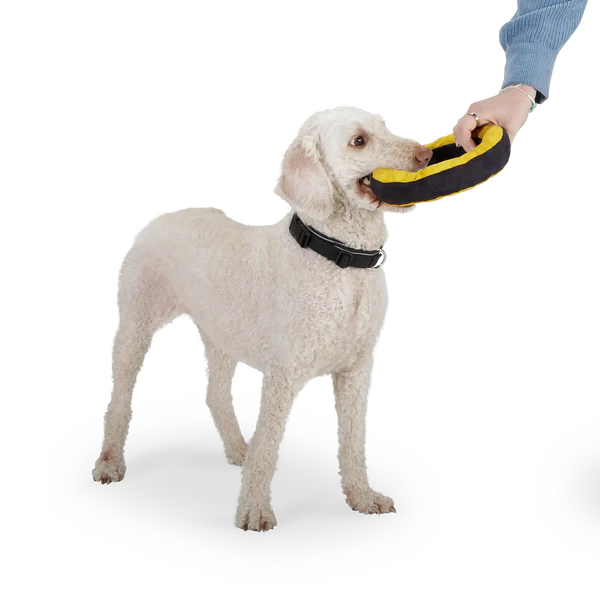 Redoggo Donut – Nachhaltiger Spielspaß für glückliche Hunde