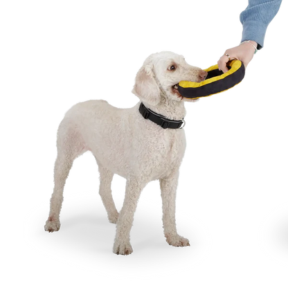 Redoggo Donut – Nachhaltiger Spielspaß für glückliche Hunde