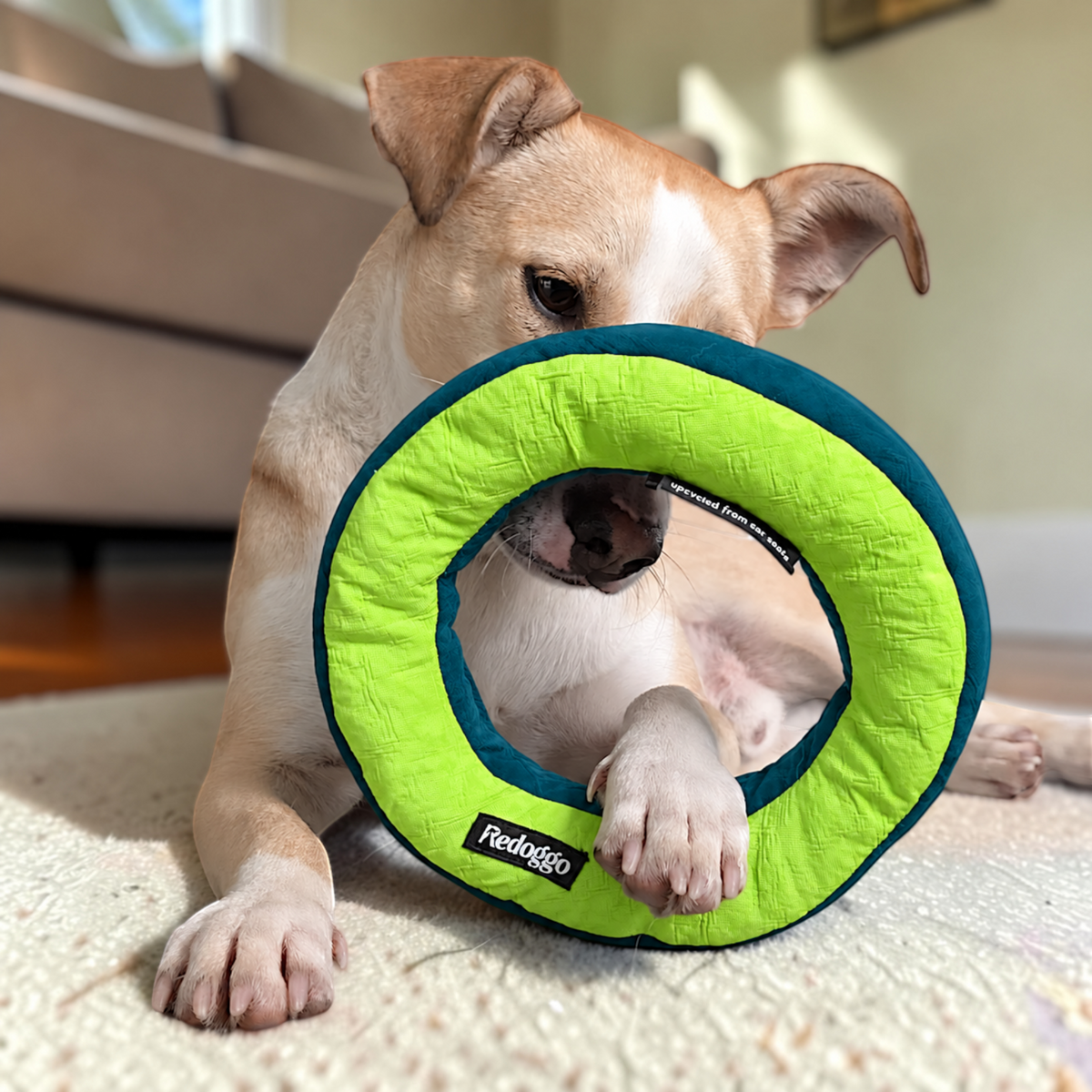 Redoggo Donut – Robustes Hundespielzeug aus Upcycling-Material