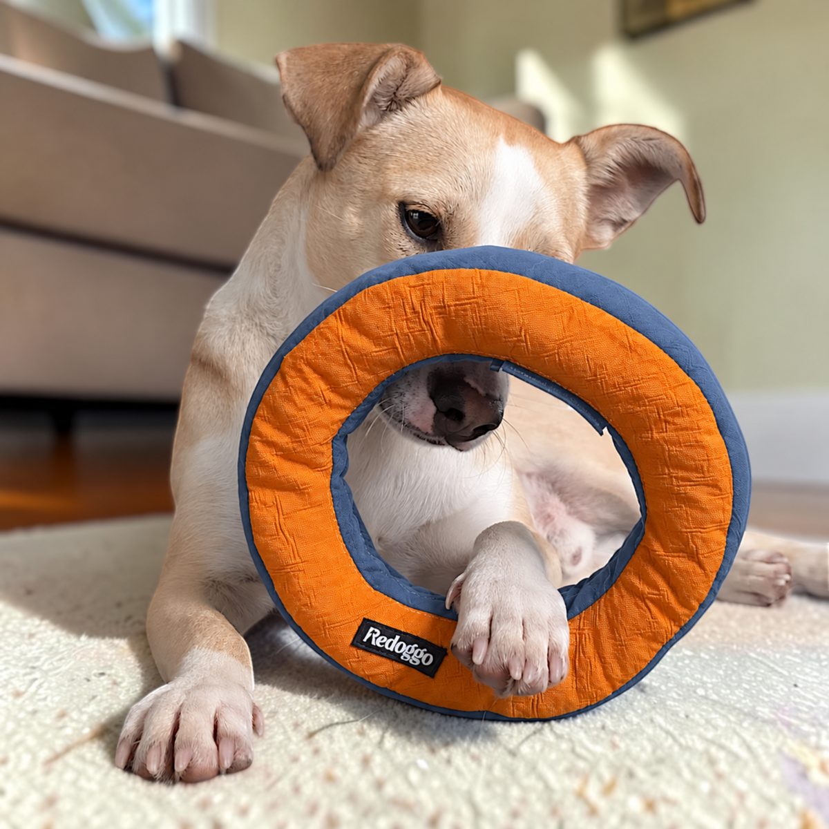 Redoggo Donut – Robustes Hundespielzeug aus Upcycling-Material