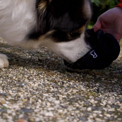 Redoggo Futterdummy – Nachhaltiges Training mit Spielspaß-Garantie