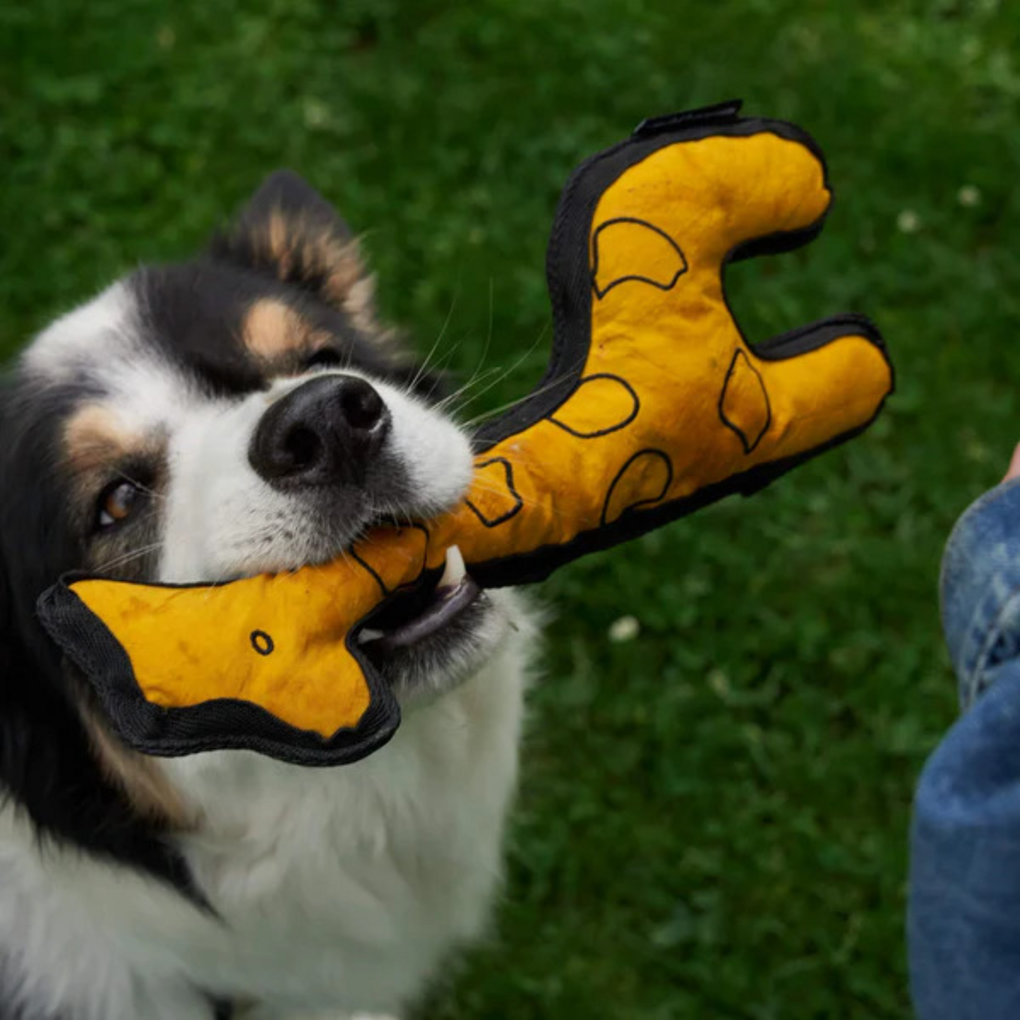 Redoggo Giraffe – Nachhaltiger Spielspaß mit extra Greifkomfort