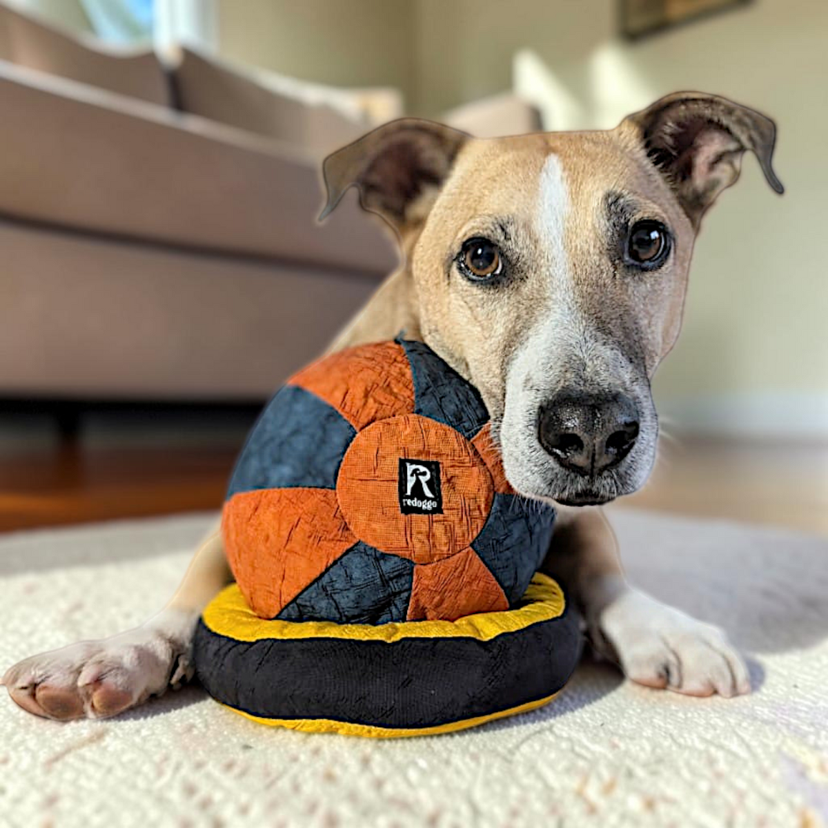 Redoggo Donut – Robustes Hundespielzeug aus Upcycling-Material