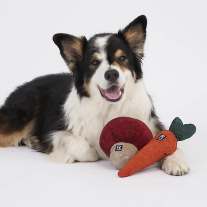 Redoggo Pilz – Interaktives Schnüffelspielzeug aus Upcycling-Material