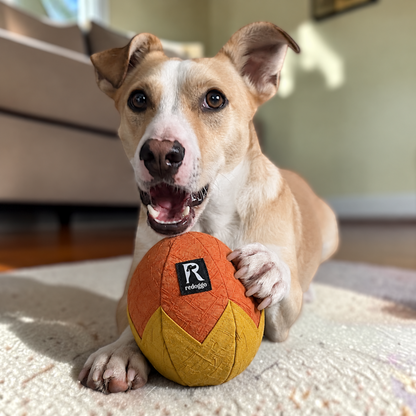 Redoggo Schnüffelei – Interaktives Schnüffelspielzeug aus Upcycling-Material
