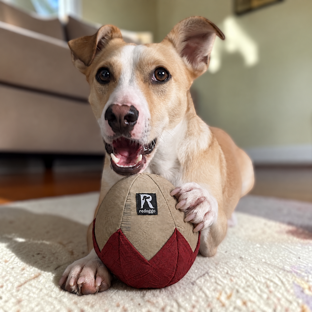 Redoggo Schnüffelei – Interaktives Schnüffelspielzeug aus Upcycling-Material