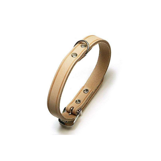 Rondo Genietetes Hundehalsband – Stilvolle Robustheit für deinen Vierbeiner