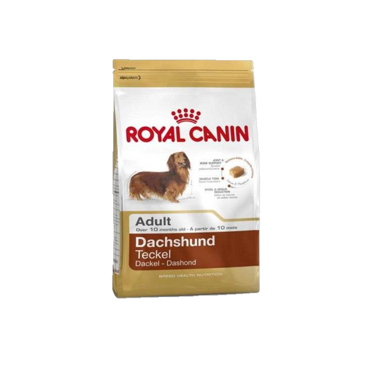 Royal Canin Dachshund Adult - Alleinfuttermittel für ausgewachsene Dachshunde ab dem 10. Lebensmonat