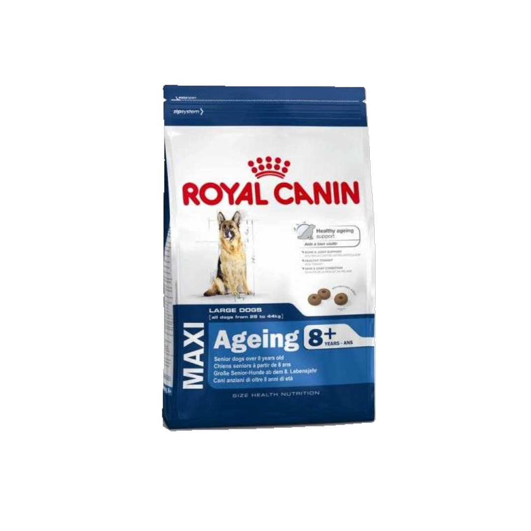 Royal Canin Maxi Ageing 8+ - Alleinfuttermittel für große, ausgewachsene Senior-Hunde (26–45 kg) ab dem 8. Lebensjahr