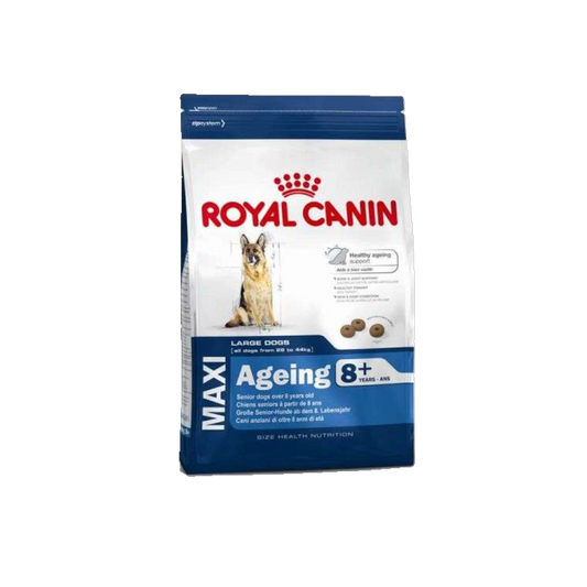 Royal Canin Maxi Ageing 8+ - Alleinfuttermittel für große, ausgewachsene Senior-Hunde (26–45 kg) ab dem 8. Lebensjahr