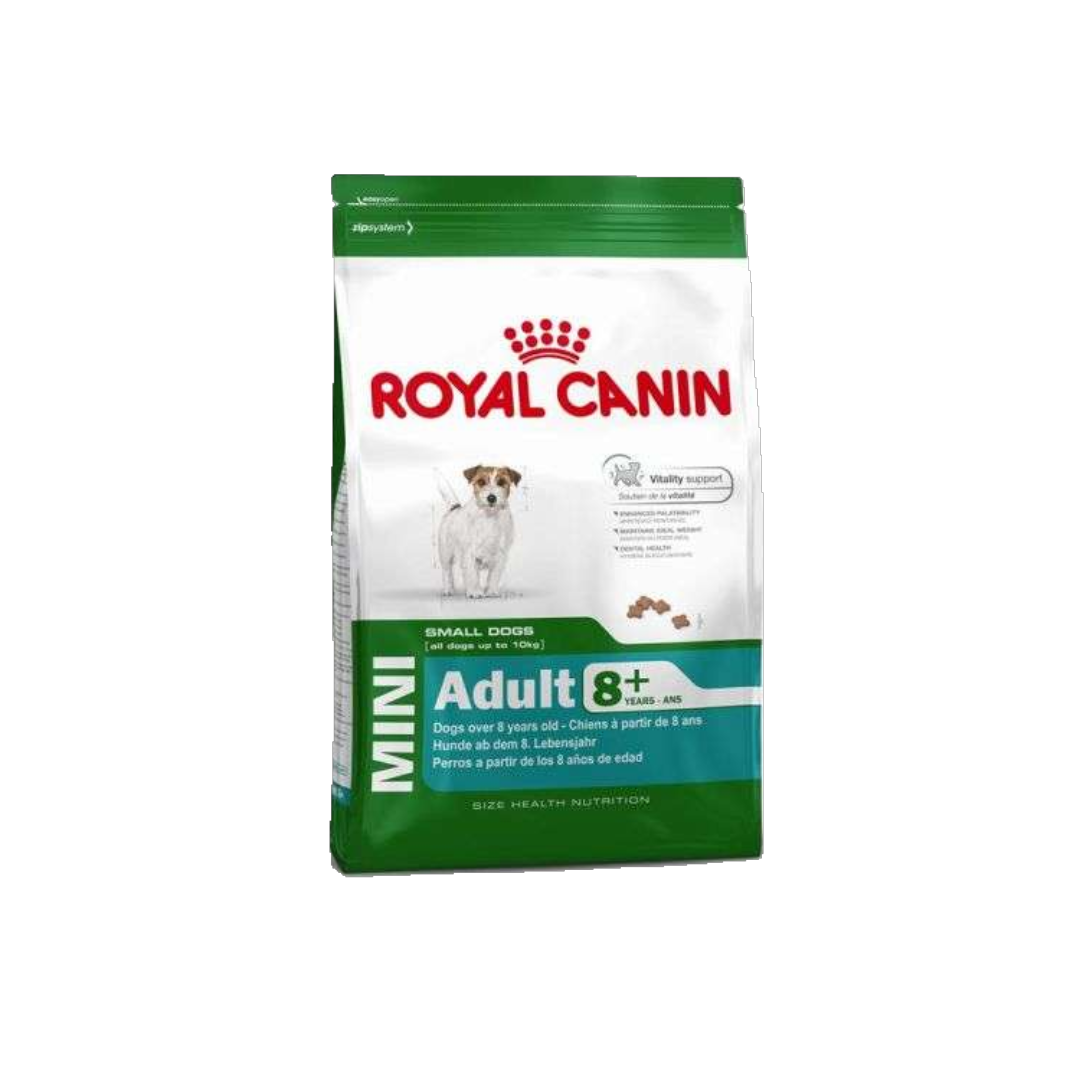 Royal Canin Mini Adult 8+ – maßgeschneiderte Ernährung für kleine Hunde im besten Alter