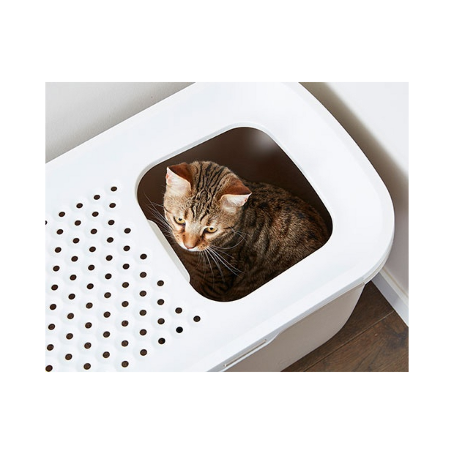 Savic Katzentoilette Hop In – Die smarte Lösung für ein sauberes Zuhause