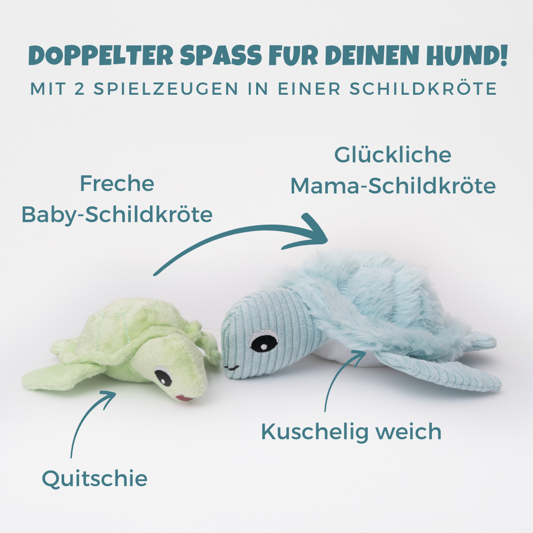 Shiggy – Die nachhaltige Schildkröte mit Überraschungseffekt