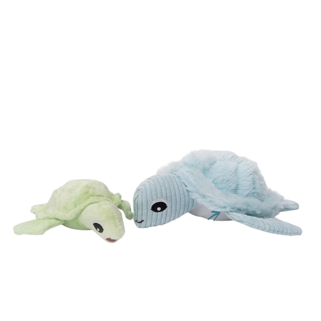 Shiggy – Die nachhaltige Schildkröte mit Überraschungseffekt