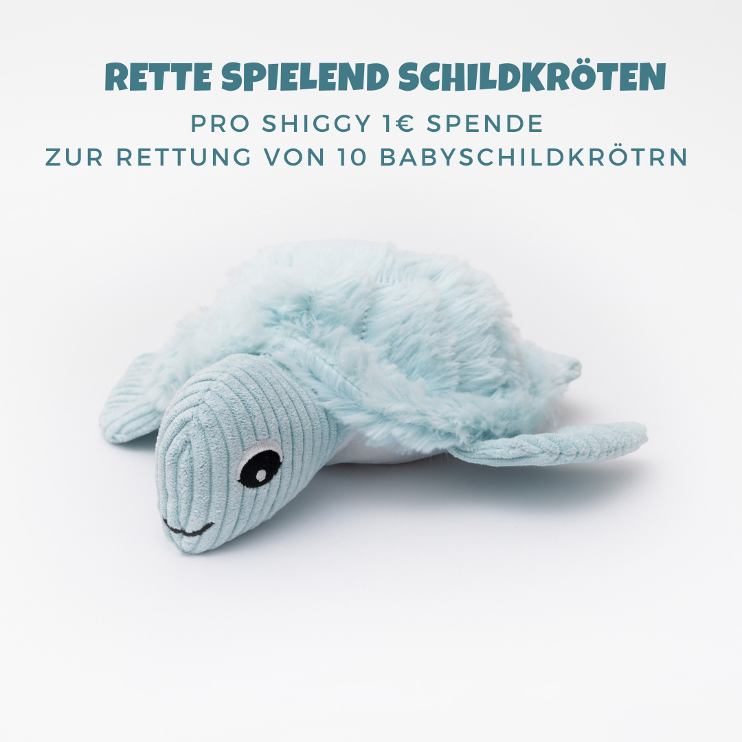 Shiggy – Die nachhaltige Schildkröte mit Überraschungseffekt