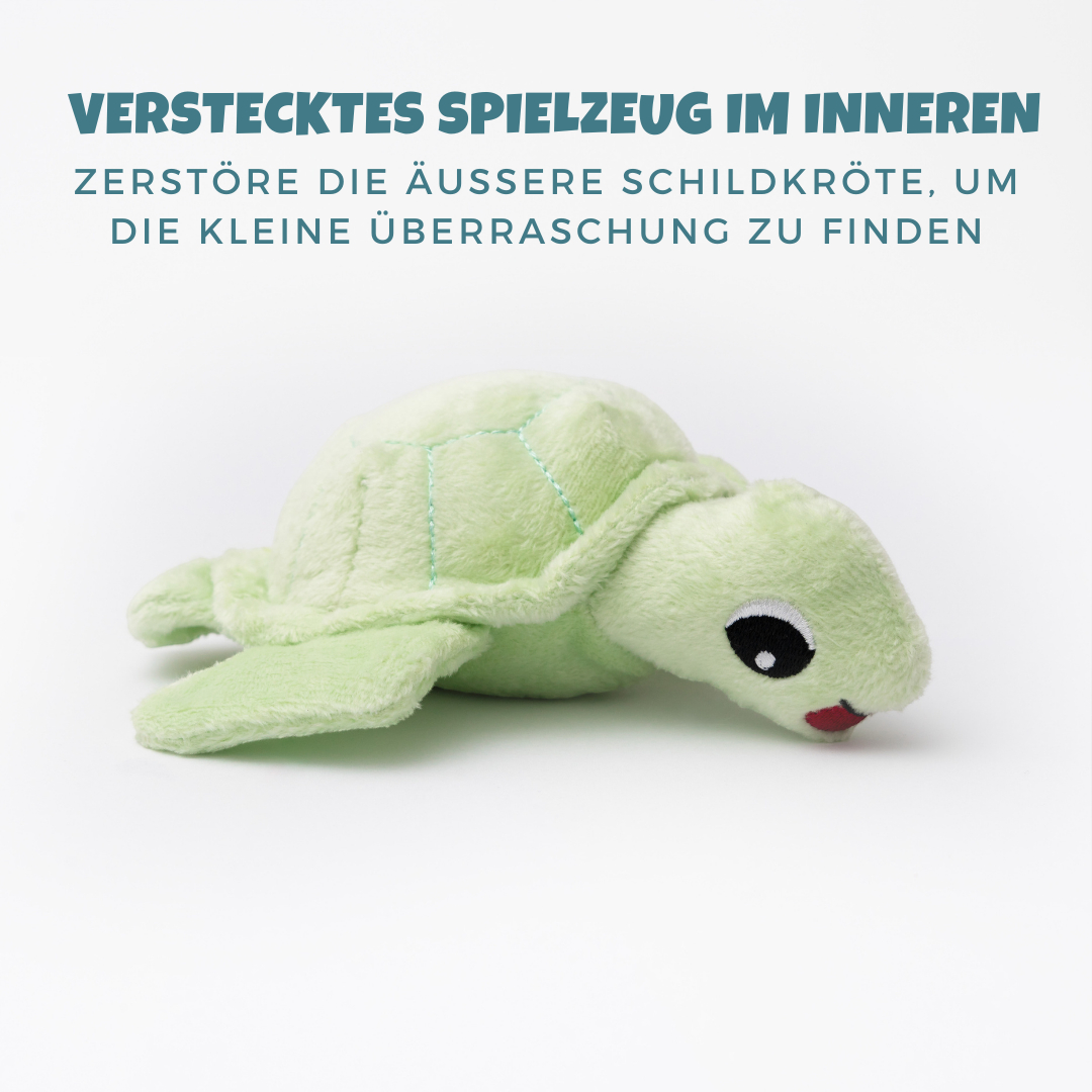 Shiggy – Die nachhaltige Schildkröte mit Überraschungseffekt