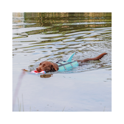 Schwimmhilfe Sharki