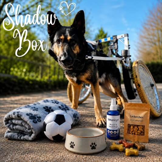 Shadow Box