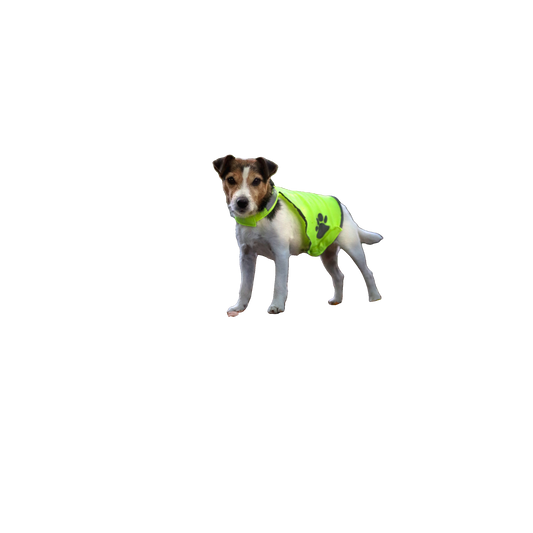 Fluoreszierende Sicherheitsweste für Hunde
