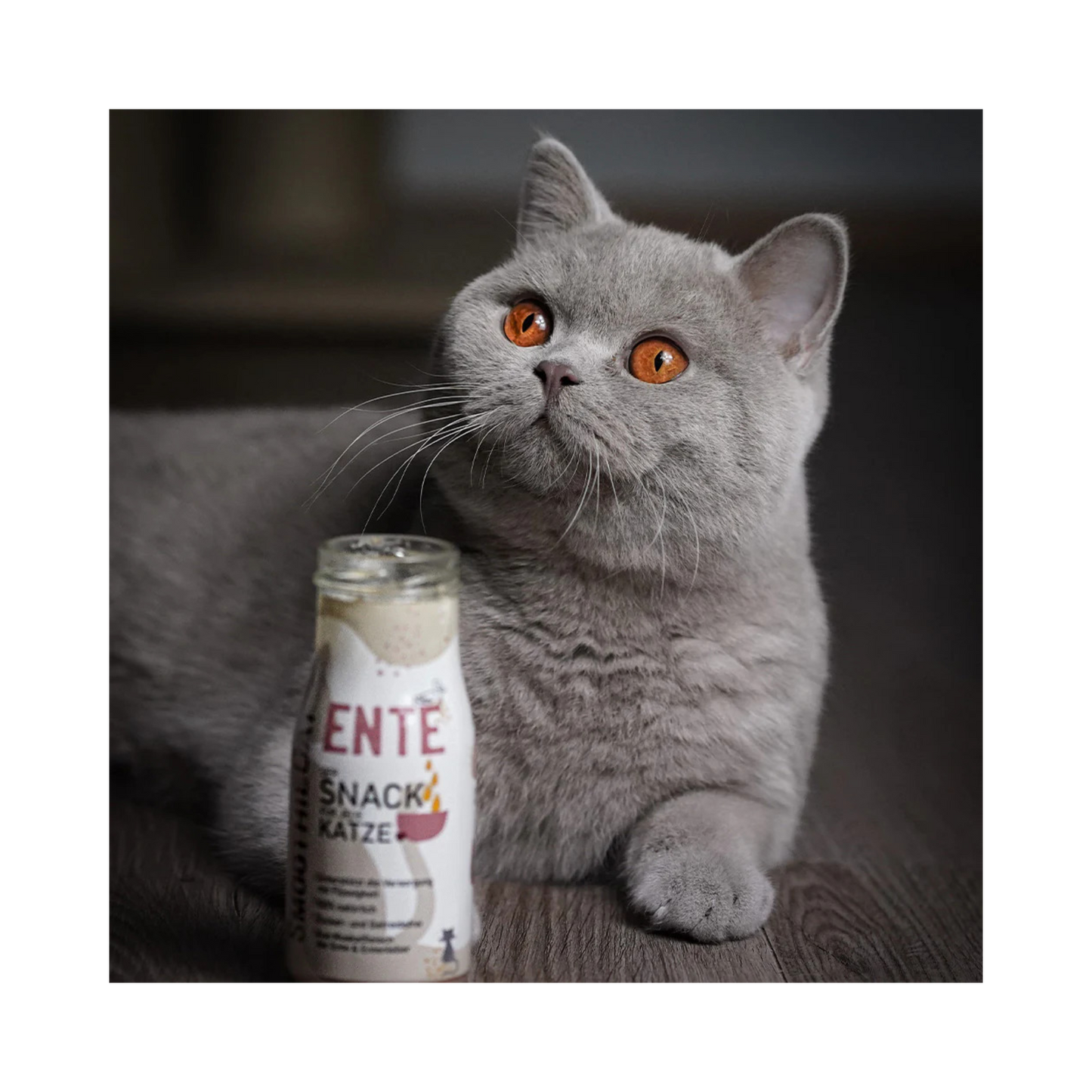SmoothieCat Ente – leckerer Katzensmoothie mit extra viel Fleisch