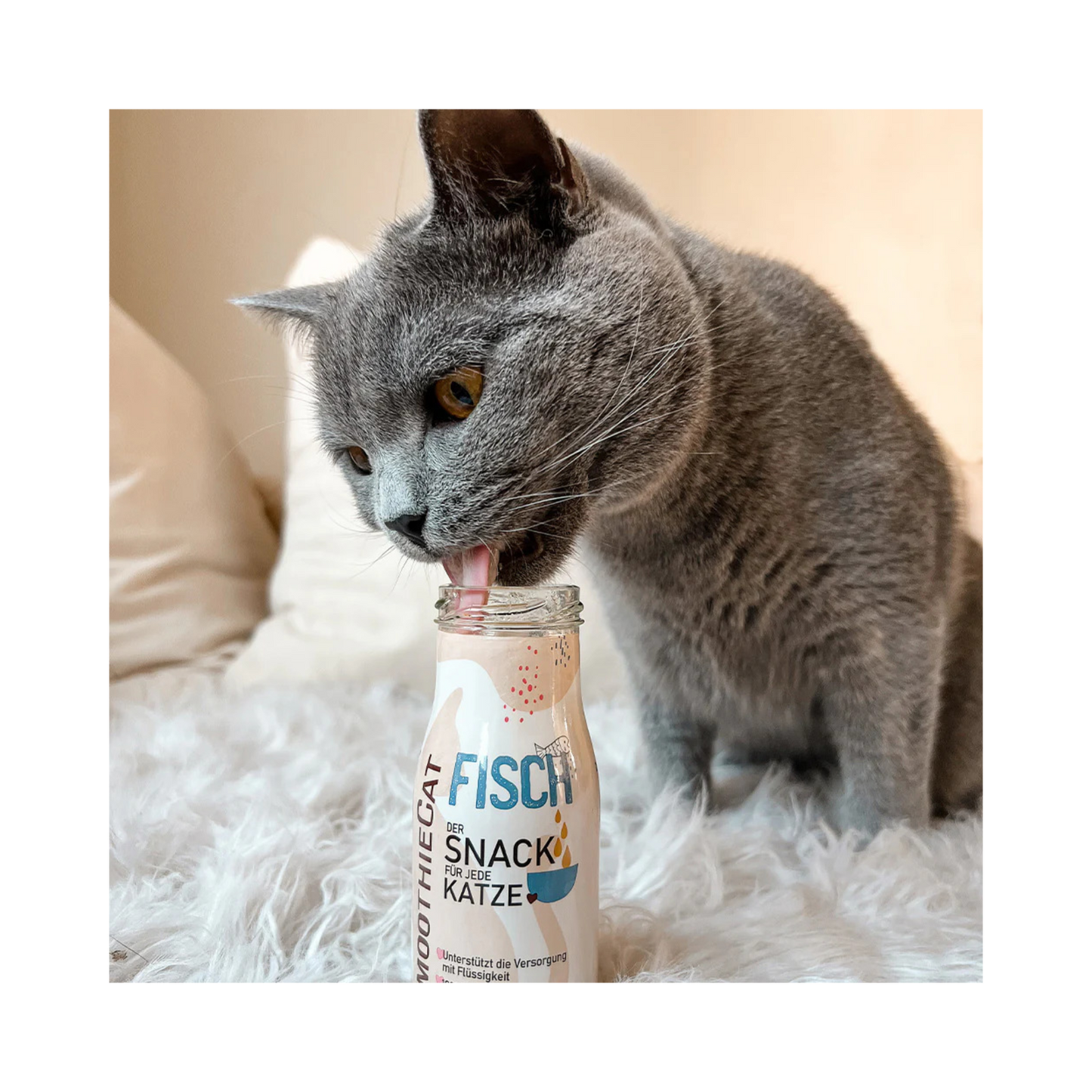 SmoothieCat Fisch – leichter Katzensmoothie mit wertvollem Dorsch