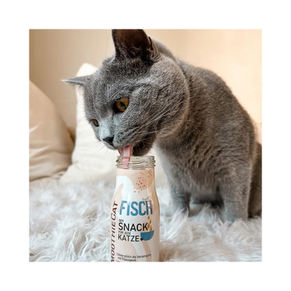 SmoothieCat Fisch – leichter Katzensmoothie mit wertvollem Dorsch