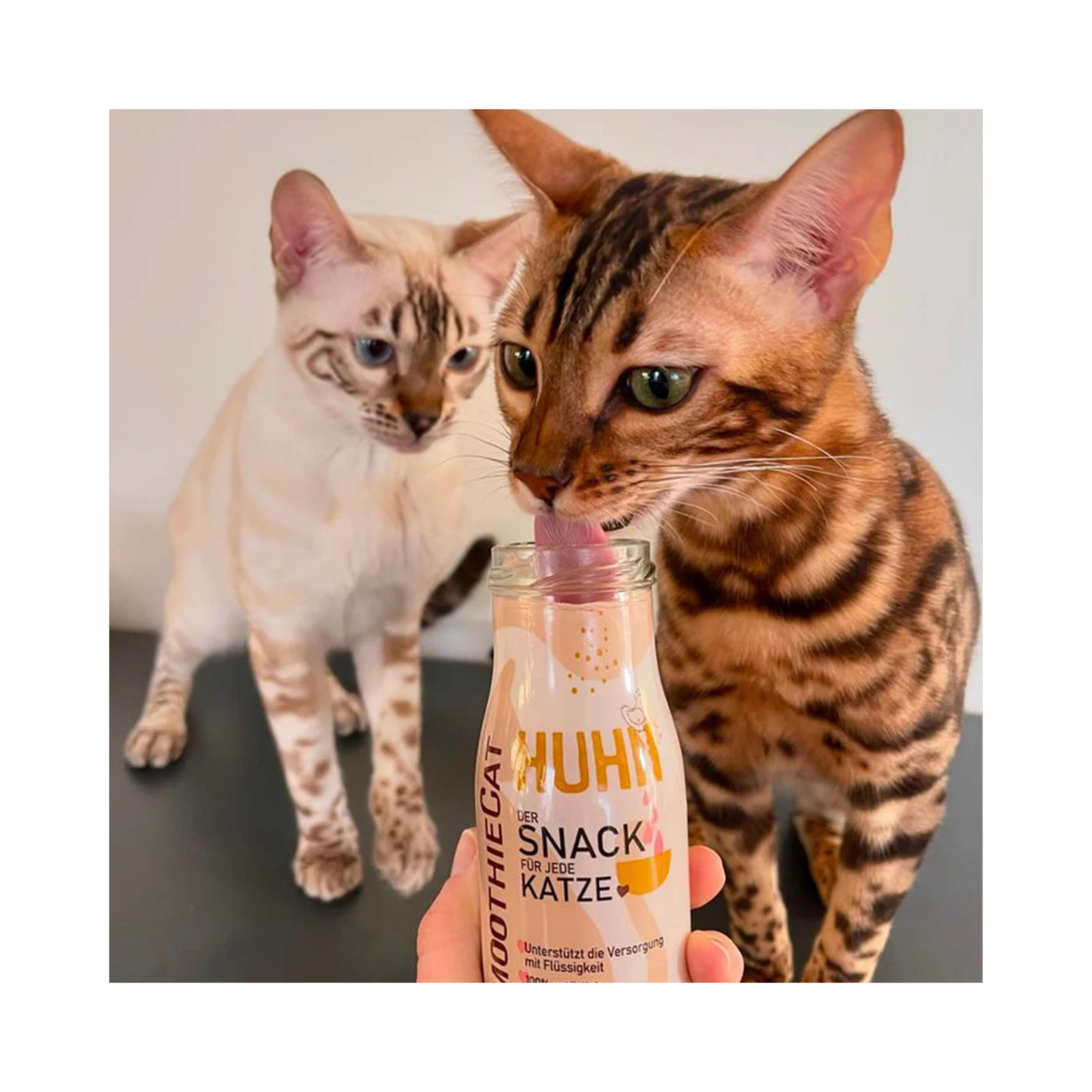 SmoothieCat Huhn – sanfter Katzensmoothie mit zartem Huhn